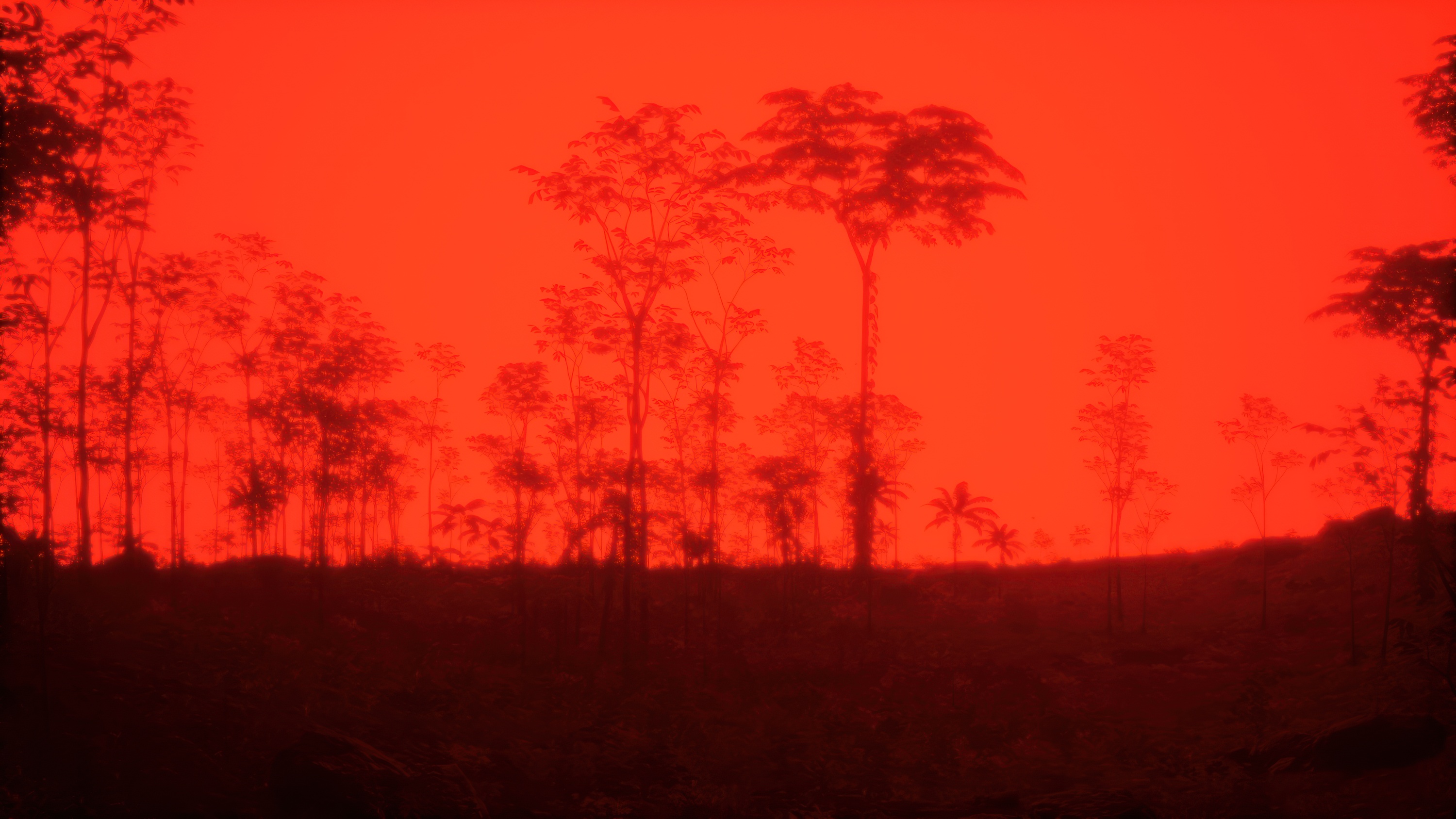 example image